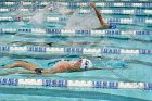 Swimming & Diving vs RWU  Swimming & Diving vs Roger Williams University. - Photo by Keith Nordstrom : Wheaton, Swimming